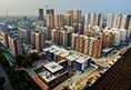 山東省住建廳關(guān)于住建行業(yè)涉黑涉惡?jiǎn)栴}主要表現(xiàn)形式